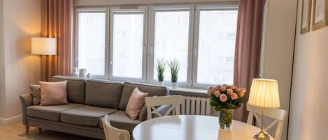 Fernseher, Arbeitsbereiche