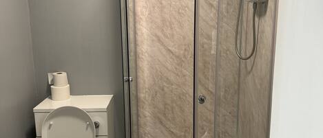 A modern bathroom with a glass-enclosed shower, a toilet, and a sink.