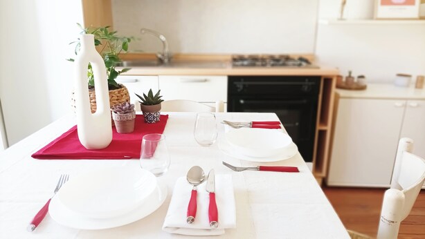 A dining table set with white plates, red-handled cutlery, and a clear glass. There are potted plants and a white vase on the table. - Quick Home - Appartamento Narciso (Biella)