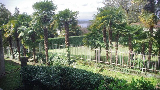 Un jardin luxuriant, avec des palmiers et une clôture en métal.