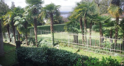 Quick Home - Magnolia