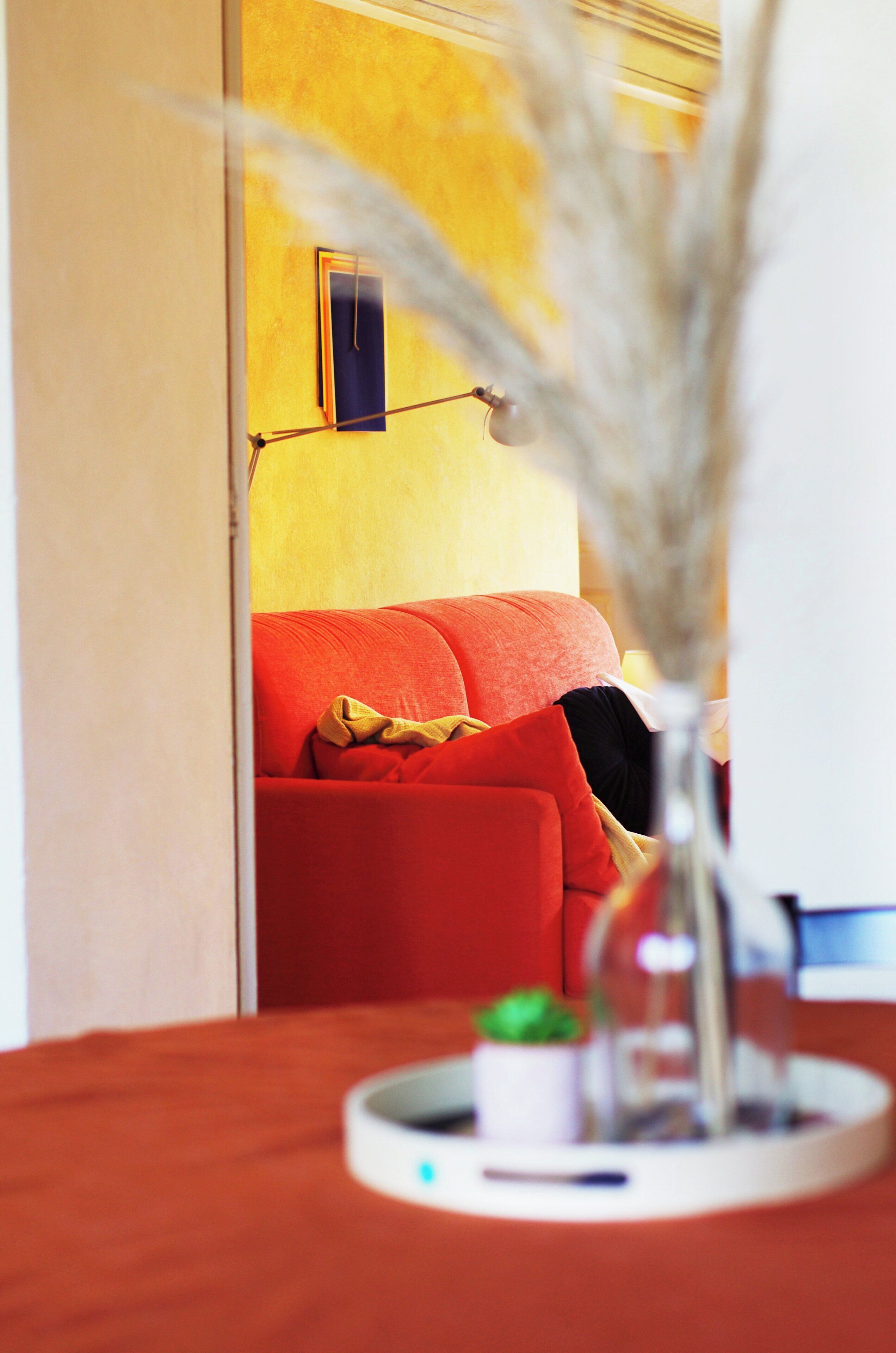 Una stanza con un divano rosso, un tavolino con una pianta e un vaso con fiori secchi.