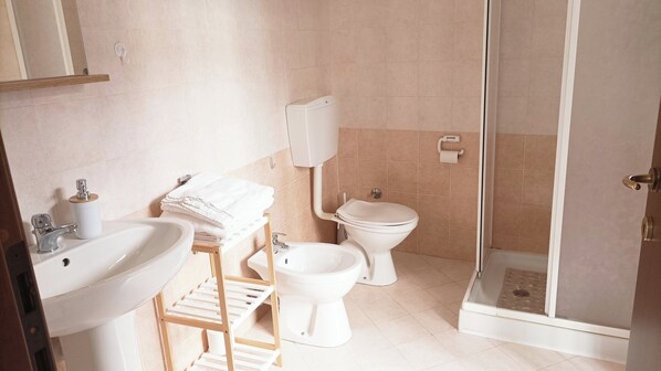 A bathroom with a sink, toilet, bidet, and a glass shower enclosure.
