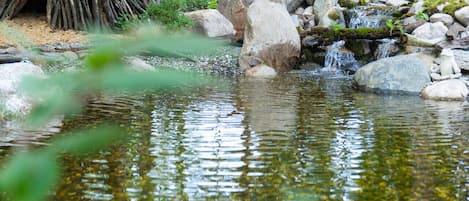 Parco della struttura