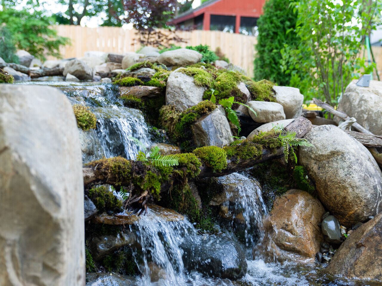 Jardines del alojamiento
