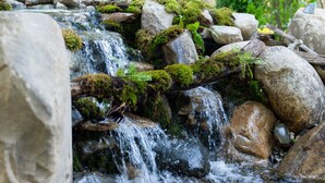 Une petite cascade entourée de rochers et de mousse, bordée d’une clôture en bois et de verdure.