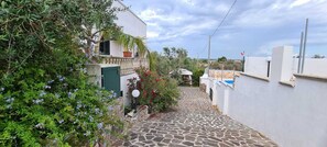 Property grounds - Salentiggiano Villa Ulivo With Swimming Pool: YELLOW TWO-ROOM APARTMENT 2/4 beds (Tiggiano)