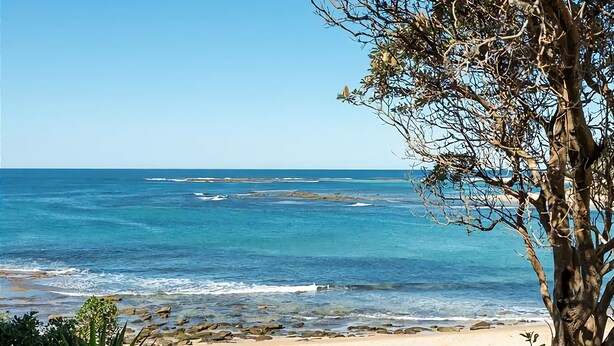 A beach with clear blue water, a rocky shoreline, and a tree in the foreground.