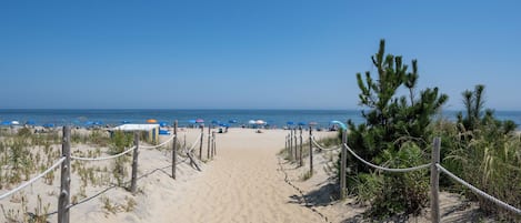 Playa en los alrededores