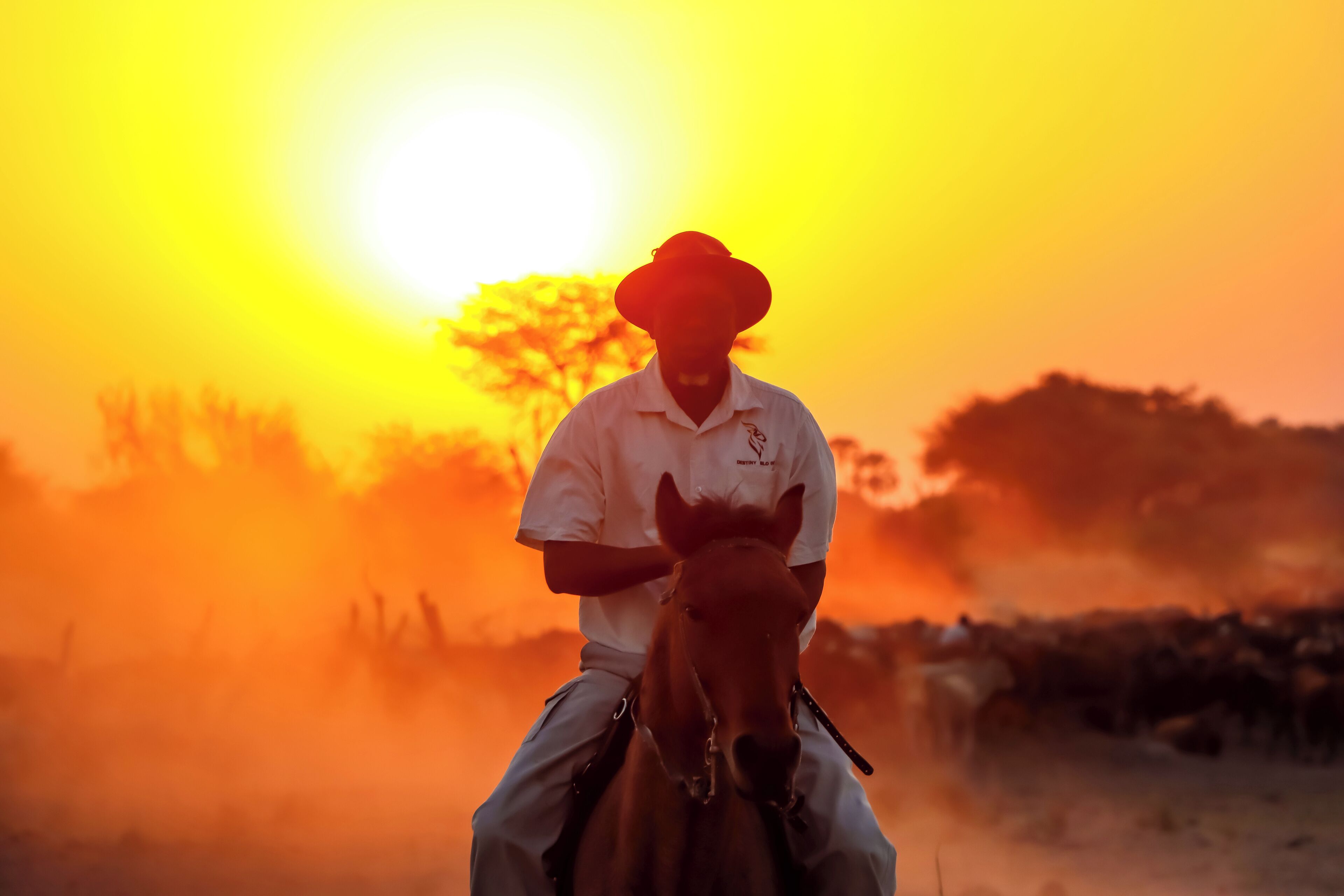 A person riding a horse during sunset.