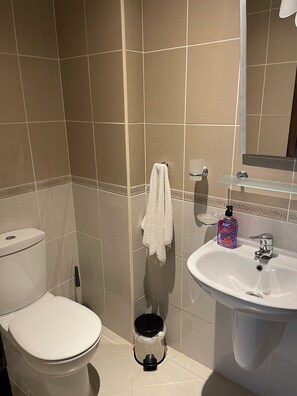 Dusche, Whirlpool, Haartrockner, Handtücher