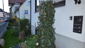 A residential building with a white exterior, a garden with various plants and flowers, and a mailbox on the wall. - DIANA vacation apartment 5 minutes from Europa Park (Rust)