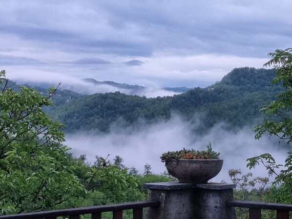 Property grounds - Large vacation apartment in Piedmont surrounded by nature (Cavatore)