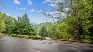 A paved road with dense green trees on both sides. - Whispering Pines - Spectacular Views & Hot Tub 3 Bedroom Home (Burnsville)