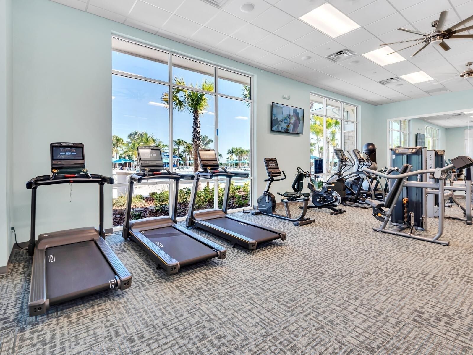 A gym with treadmills, elliptical machines, and weight equipment.