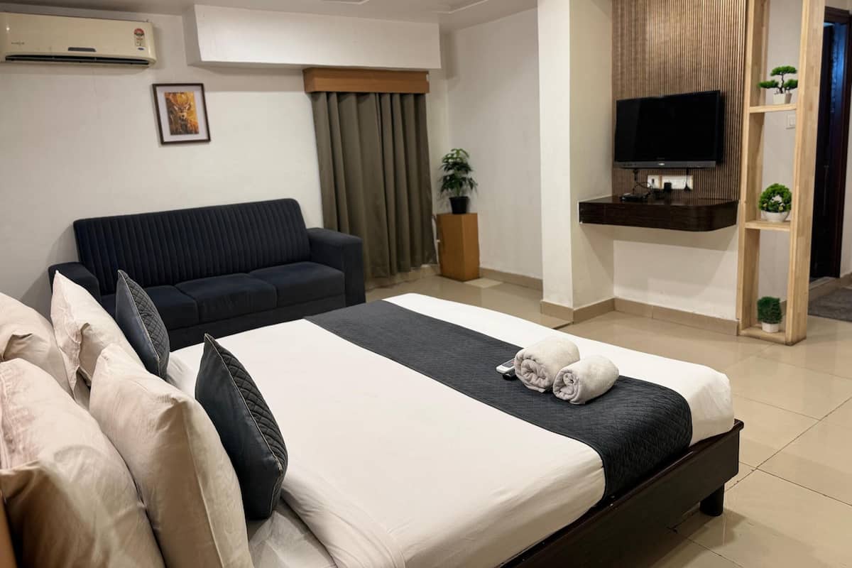 A modern hotel room with a large bed, a dark sofa, a TV, and a small plant.