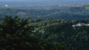Panoramica di un paesaggio con una grande nuvola nel cielo, una città in lontananza e una vegetazione fitta.