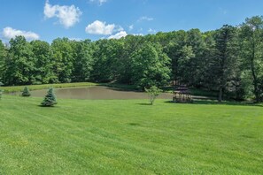 A grassy field with a gazebo, a pond, and a dense forest in the background.