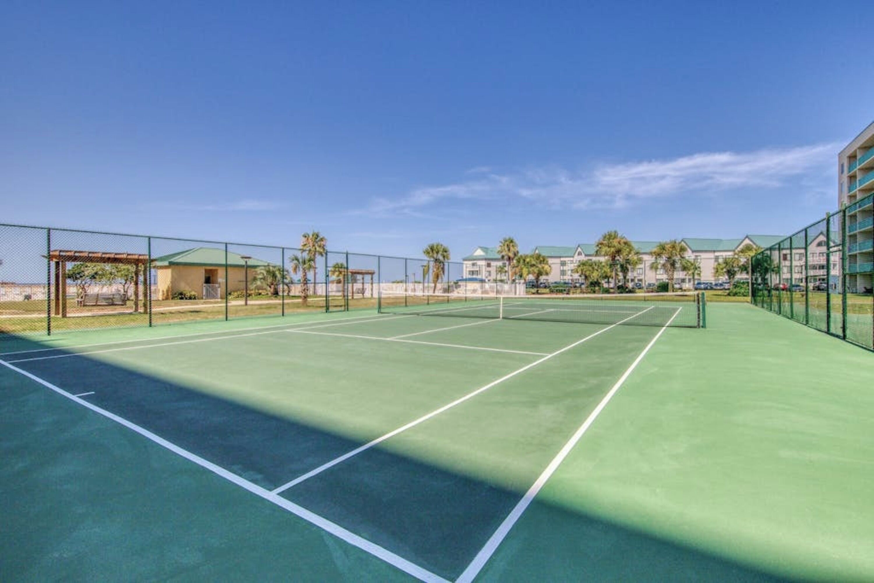 Un court de tennis en plein air, doté d’un filet, entouré d’une clôture et bordé de palmiers.