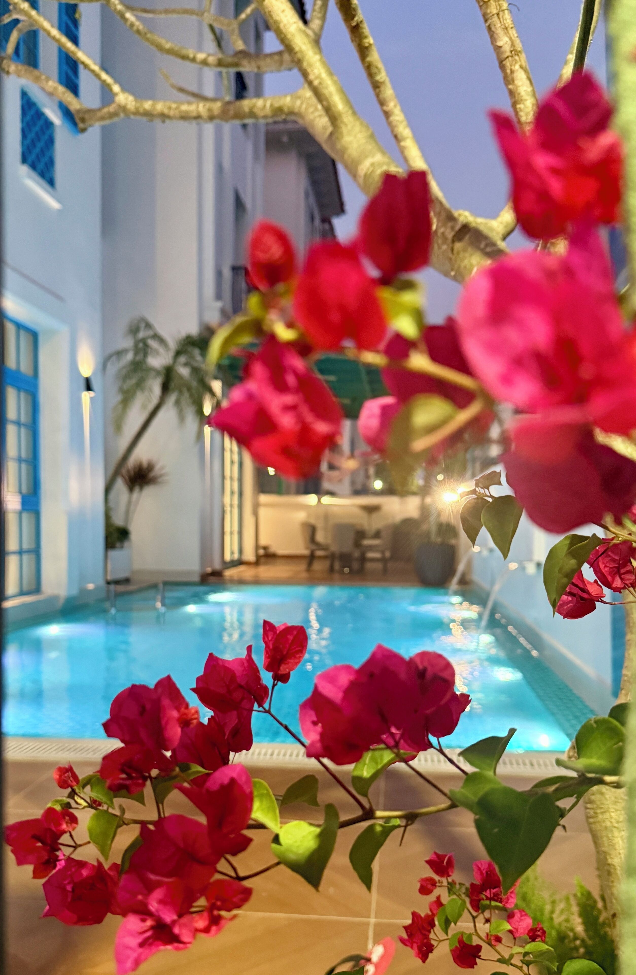 Premier Villa | Garden view