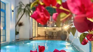 Premier Villa | Garden view