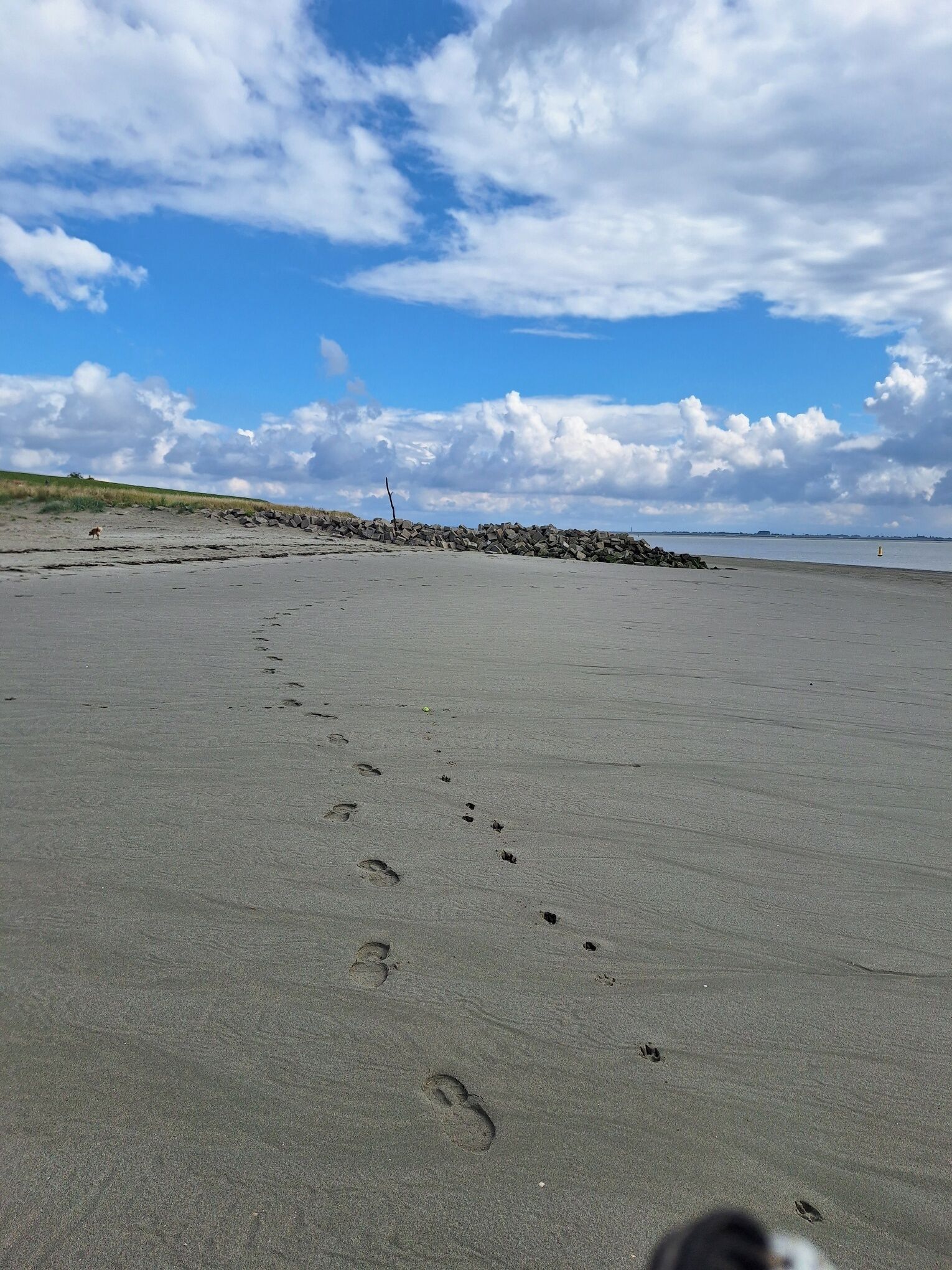 在海滩、沙滩椅