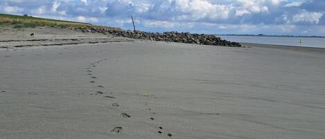 Plage, chaises longues