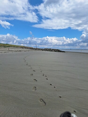 Charming chalet on camping Scheldeoord, 5 min walk from the Westerschelde