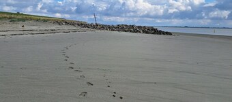 Charming chalet on camping Scheldeoord, 5 min walk from the Westerschelde