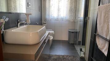 Shower, hair dryer, bidet, towels