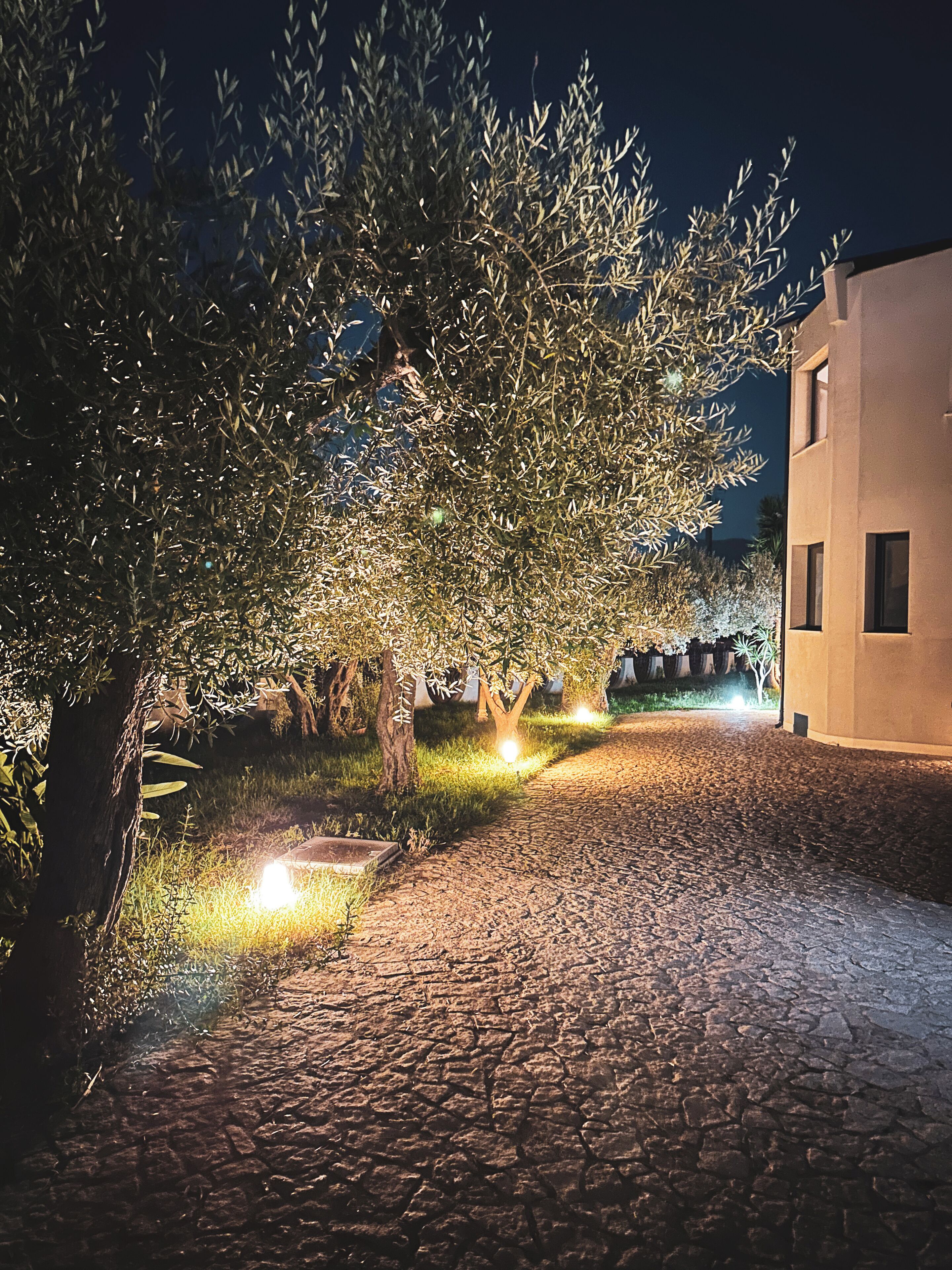 Un sentier pavé de pierres menant à un bâtiment illuminé par des lampes extérieures et bordé d’oliviers.