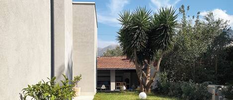 A modern building with a concrete facade, a paved pathway, and a well-maintained lawn with a palm tree and a potted plant.