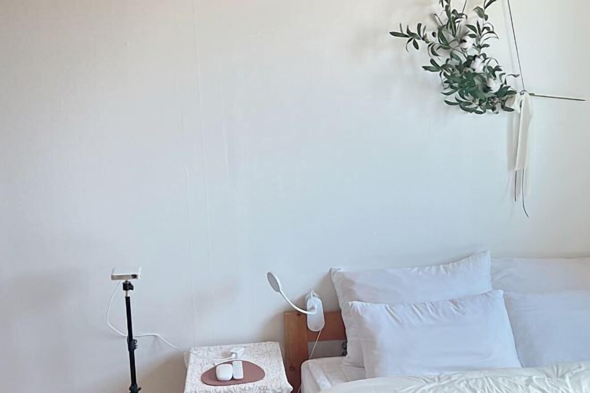 Una habitación de hotel con una cama, una mesita de noche con una lámpara, una planta en la pared y un palo para selfies sobre un trípode.