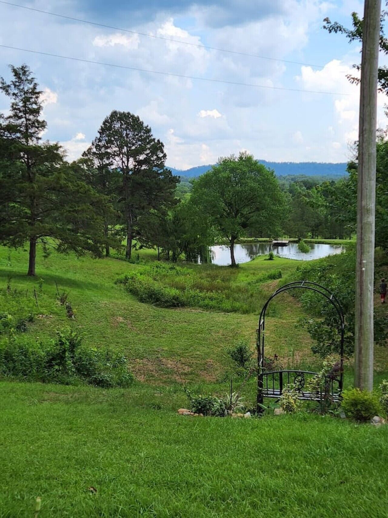 Un paysage verdoyant et luxuriant, avec un étang, des arbres et un portail en métal.