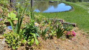 A natural landscape with a pond, greenery, and a dock. - Glamping Deck Amazing View! (Oden)