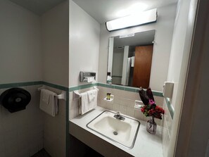 Standard Double Room | Desk, free WiFi - Nocturne Motel (New Smyrna Beach)