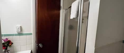 A bathroom with a shower, a sink, and a door.