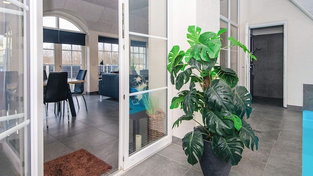 Un interior moderno con una gran planta de monstera en maceta, un acceso mediante puerta de vidrio y una zona de estar con sillas y una mesa.
