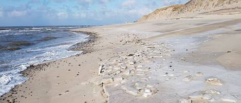 Vue depuis l’hébergement