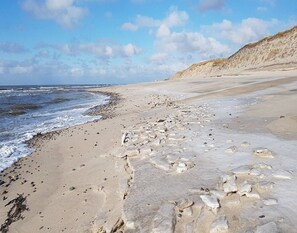 House | View from property