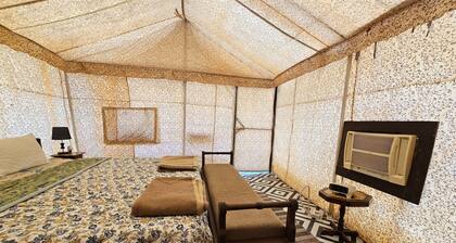 The Vanashrya Ranthambore