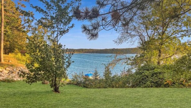 Eine grüne Wiese mit einem See und Bäumen im Hintergrund.