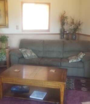 Living area -  Spacious Cabin Style Home with Expansive Lakeviews! (kettle falls)