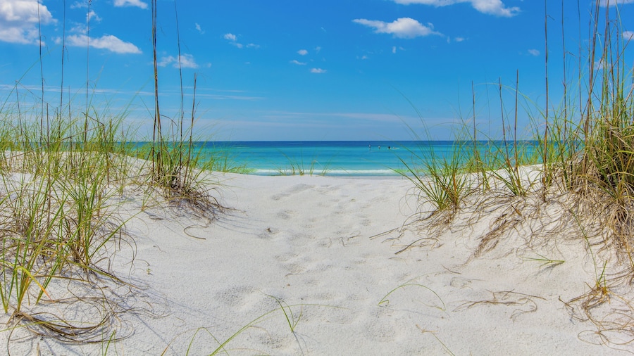 Epic Beach House With Private Pool, 175 ft to the Beach, U Gotta See It!