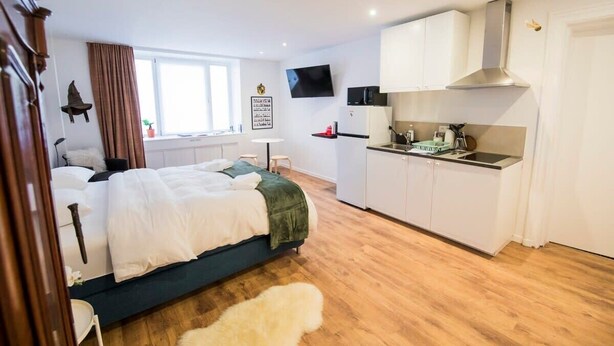 Iron/ironing board, WiFi - Harry Potter self check-in studio / Nespresso / Ne (Saint-Gilles)