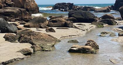 Coastal Farmhouse Retreat in Little Compton, RI – Your Perfect Seaside Getaway