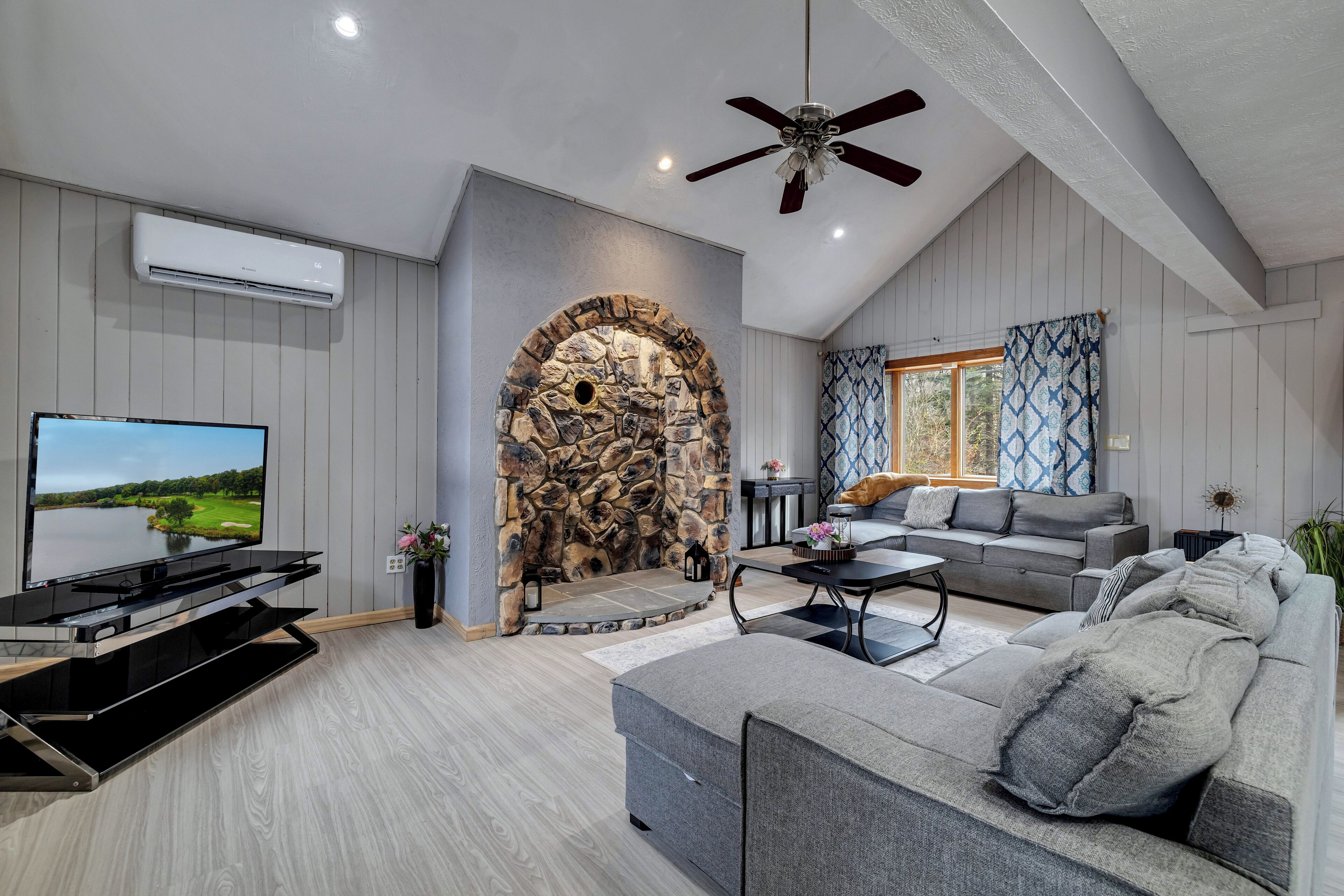 Smart TV, fireplace, books