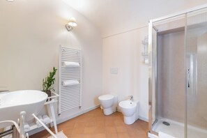 Shower, hair dryer, bidet, towels