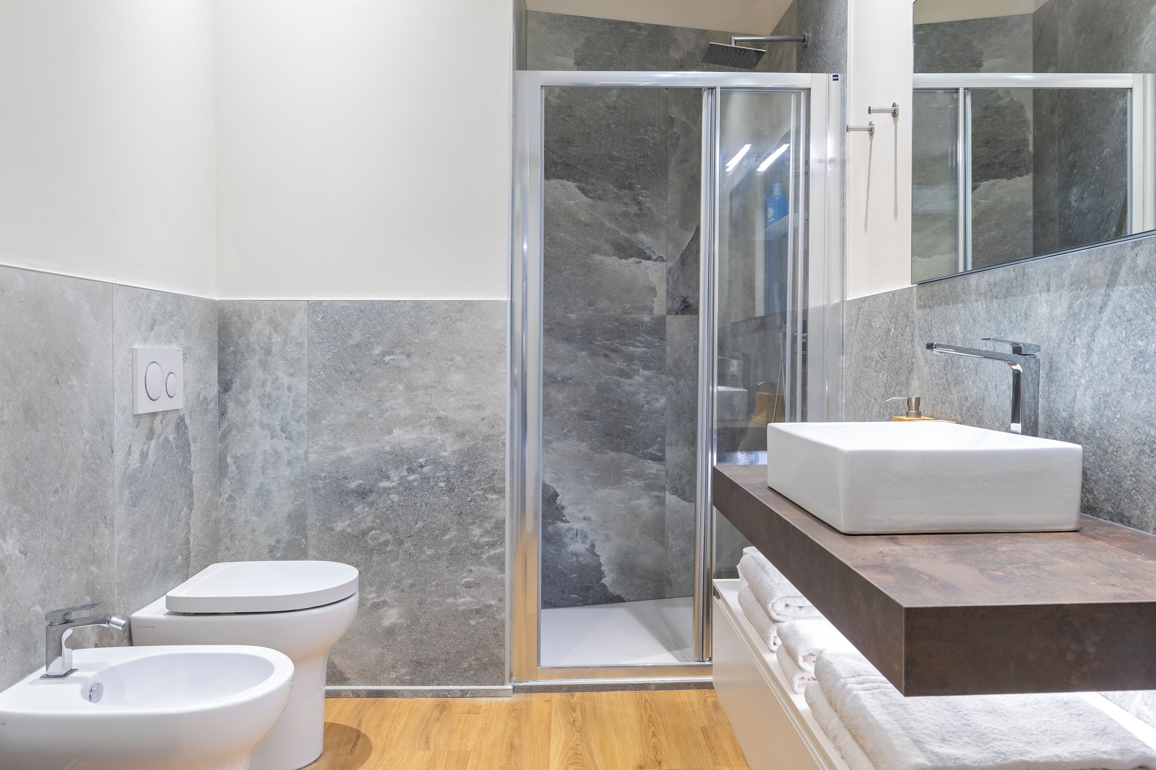 Shower, hair dryer, bidet, towels