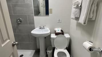 Hair dryer, towels